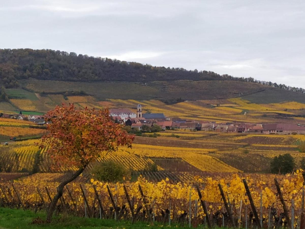 Le Bubele Au Coeur Du Centre Medieval Et Vignoble 리보빌레 외부 사진